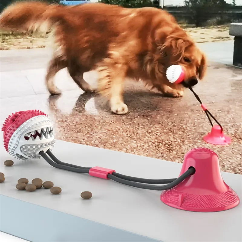 Juguete interactivo con forma de bola de succión para perros