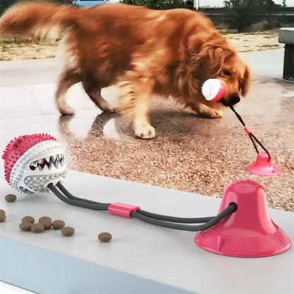 Juguete interactivo con forma de bola de succión para perros